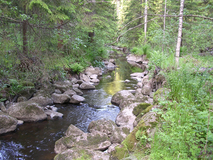 palojok1.jpg (52874 bytes)