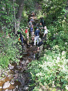 Image1.jpg (76920 bytes)