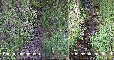 Image2.jpg (91272 bytes)