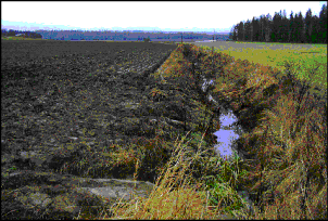 eroosio2.gif (31812 bytes)