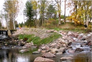 pato.jpg (79845 bytes)