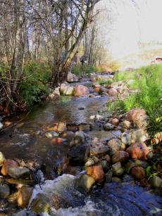 Maijanoj.jpg (20462 bytes)