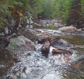 jalkeen1.jpg (39911 bytes)