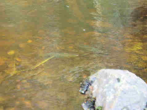 kalat.jpg (37219 bytes)