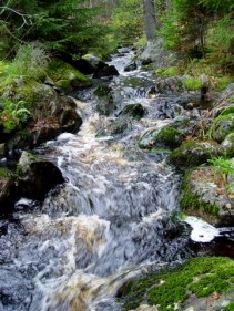 kreiv104.jpg (30526 bytes)