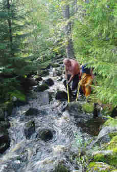 kreiv105.jpg (25667 bytes)