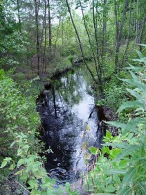 kreiv204.jpg (32009 bytes)