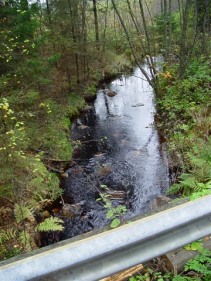 kreiv304.jpg (30281 bytes)