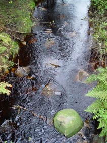 kreiv404.jpg (33164 bytes)