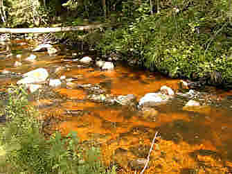 nuija105.jpg (22150 bytes)