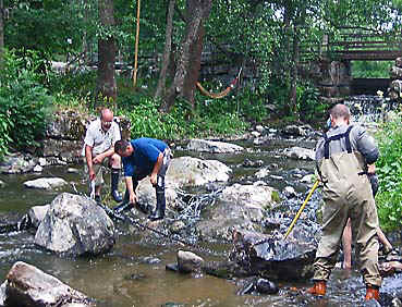 olkka306.jpg (96344 bytes)