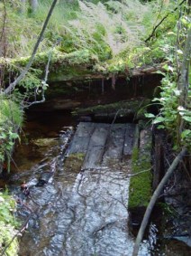 palopato.jpg (28090 bytes)