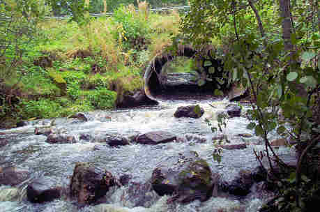 Siltarumpu Pusulanjoella