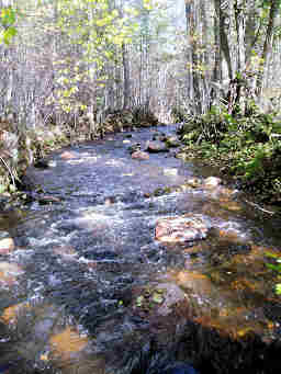 pusula405.jpg (25340 bytes)