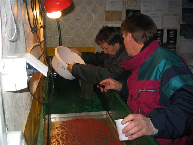 M�ti� levitet��n haudonta-aseteille