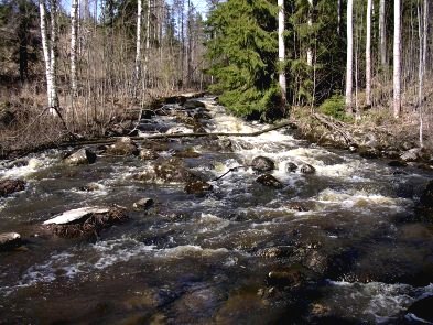 Paalijoki tulvassa kev��ll� 2004