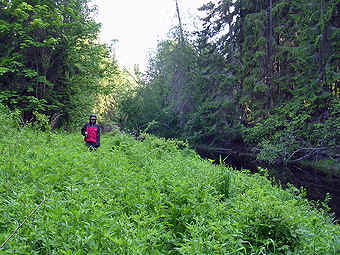 Nuori kalamies Nukarissa