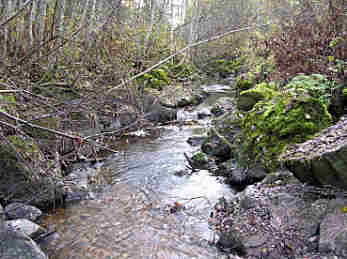 paari105.jpg (24427 bytes)