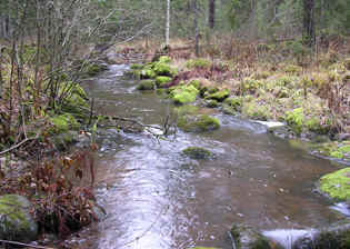 syksy05.jpg (143620 bytes)