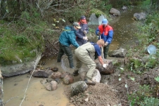 talkoo.jpg (25086 bytes)