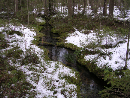 palojok1.jpg (52874 bytes)