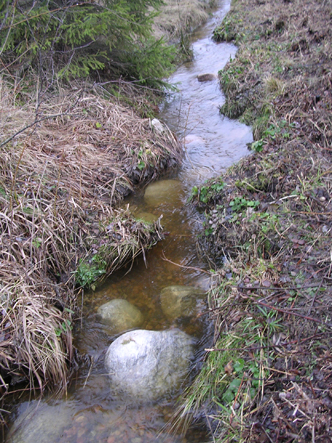 palojok1.jpg (52874 bytes)