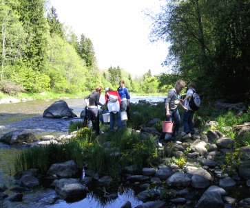 Koululaisia luontoretkell� Pitk�koskella kev��ll� 2004