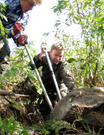 kivi.jpg (47752 bytes)