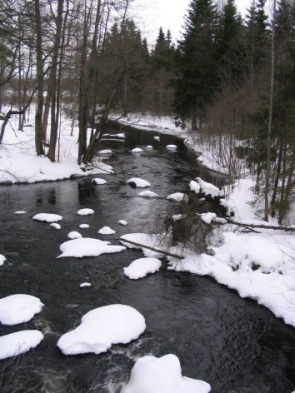 pilpala1.jpg (45364 bytes)