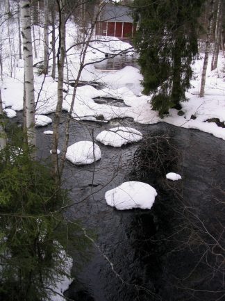 pilpala2.jpg (40908 bytes)