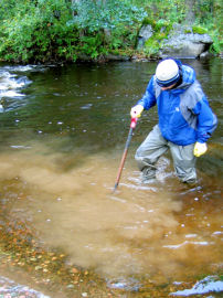 poyhii.jpg (37081 bytes)