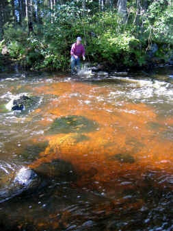 valmis.jpg (51112 bytes)