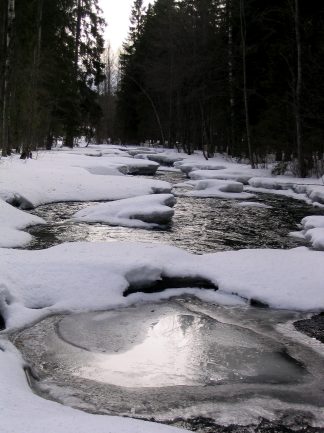 vastink1.jpg (31809 bytes)