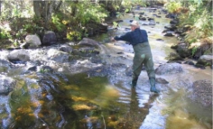 vuohik03.jpg (21909 bytes)